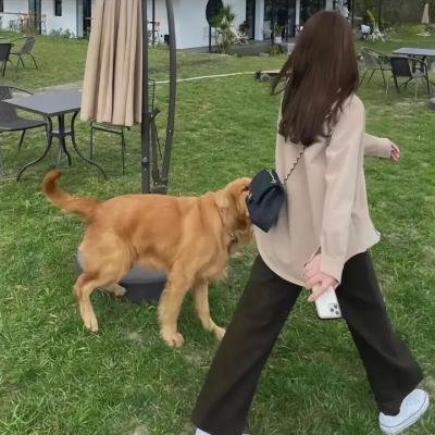 火线消防员