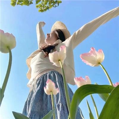 菜鸟囧探